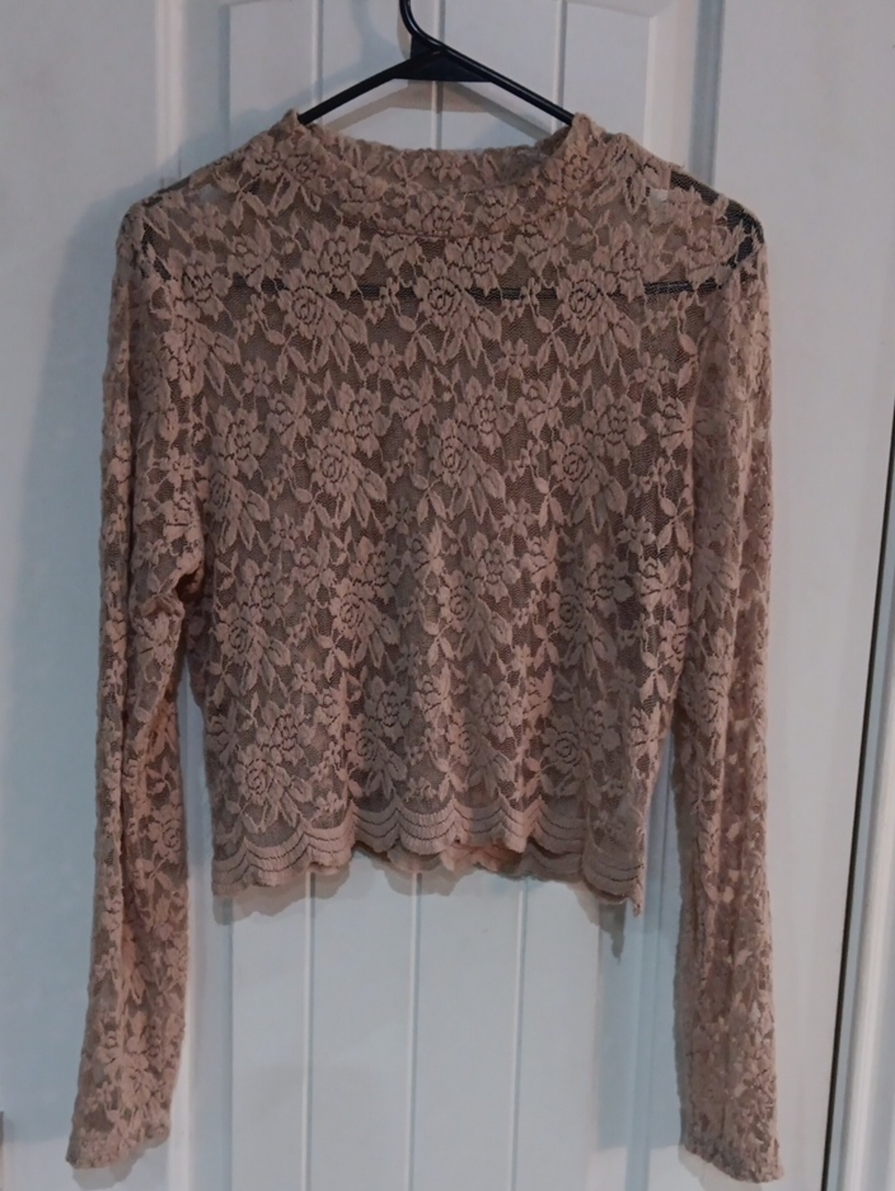 Ambiance Floral Lace Long Sleeve Crop Top Dusty Pink L